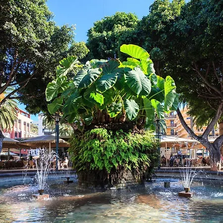 Charco Breeze Apartment